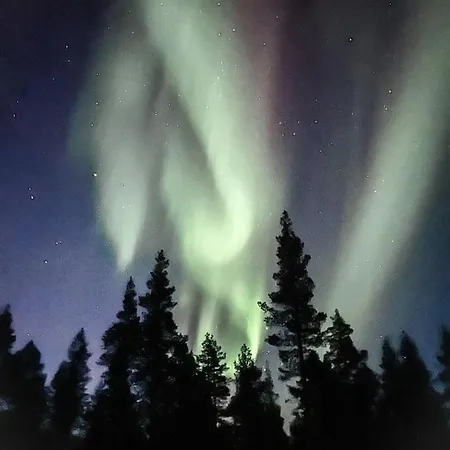 Sensu - Sky Igloos *