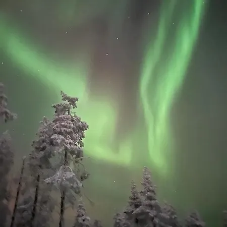 Sensu - Sky Igloos *